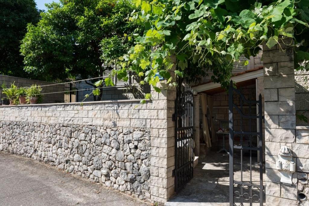 Apartment Wild Orange Dubrovnik Exterior foto